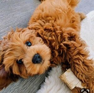 Meet your Posher, Discounts_4_You!